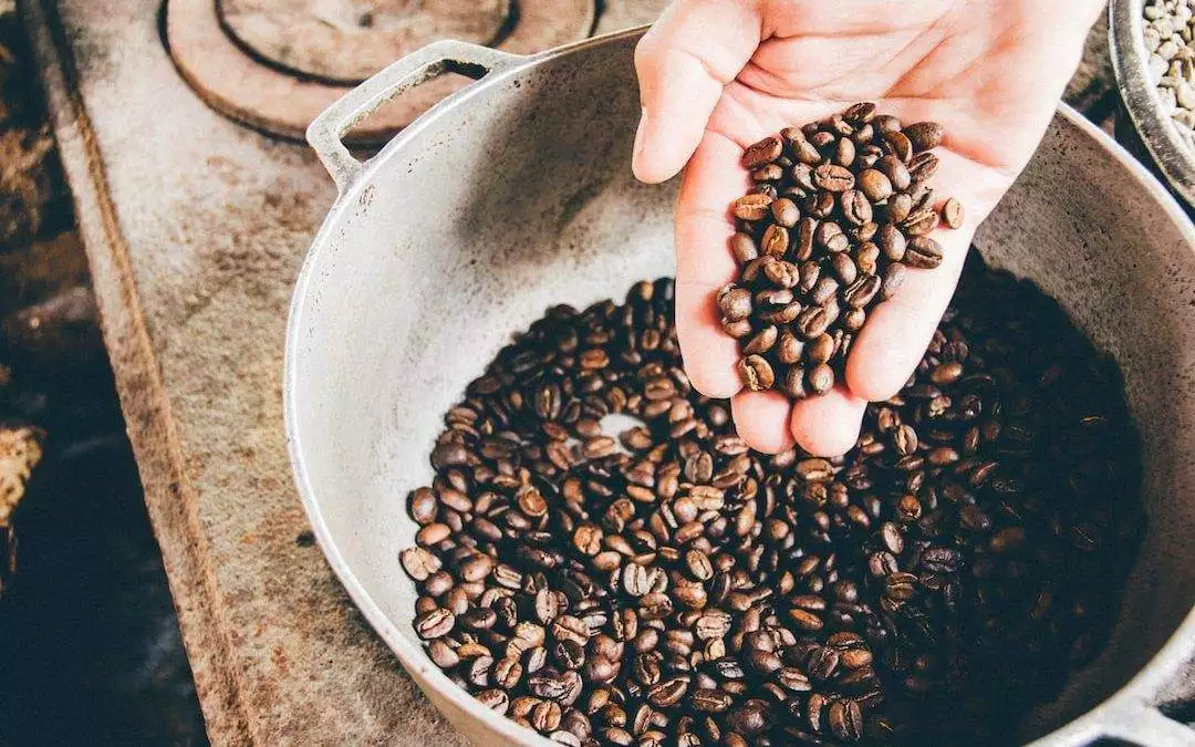 Cafetera de acero inoxidable vs. cafetera de aluminio: ¿Cuál es la mejor opción para tu hogar?