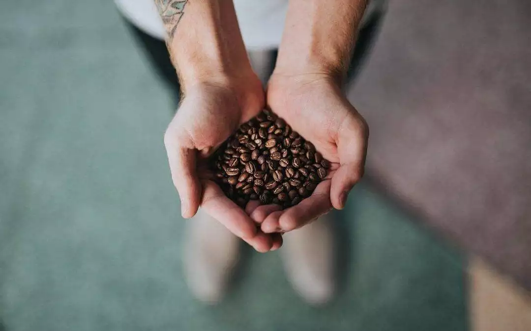 ¿Cuál es el mejor café del supermercado?