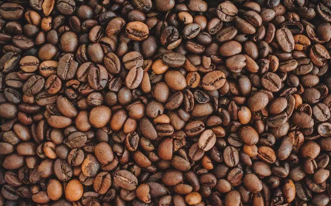 ¿Cuál es la diferencia entre el café arábica y Robusta?